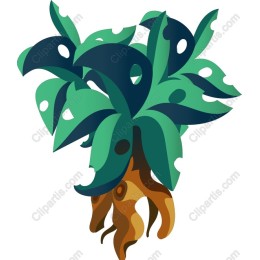Tropical Lush Plant