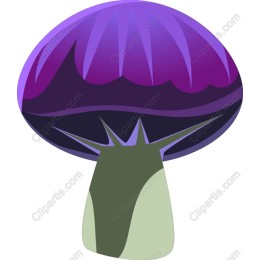Vibrant Purple Mushroom