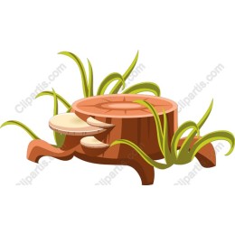 Eco-Friendly Tree Stump