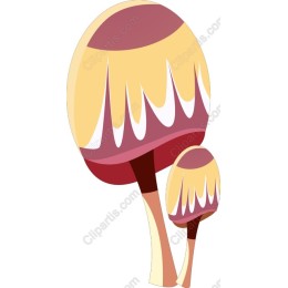 Whimsical Mushroom Bundle