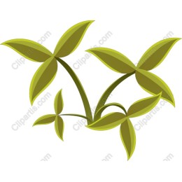 Lush Green Leaves