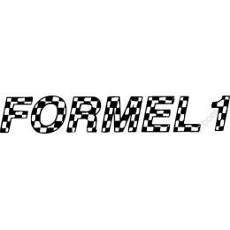 FORMEL 1 Racing