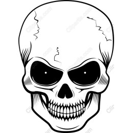Premium Skull