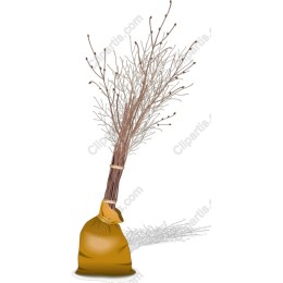 Wild Twigs in Natural Bag