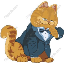 Dapper Cat in Tuxedo
