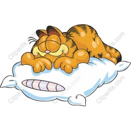 Cozy Cat Nap