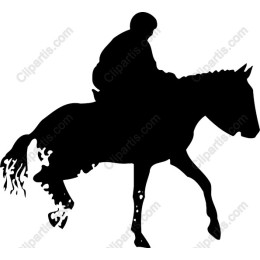 Horse and Rider