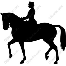 Equestrian Elegance: Horse and Rider