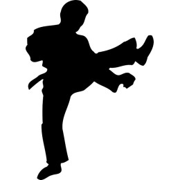 Martial Artist Kick