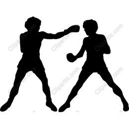 Dynamic Boxer