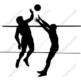 Dynamic Volleyball Players