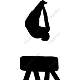 Dynamic Gymnast