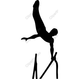 Dynamic Male Gymnast