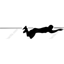 Dynamic Swimmer
