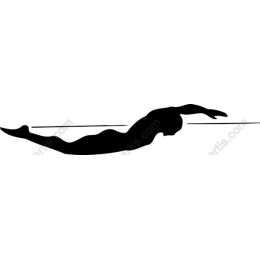 Dynamic Swimmer