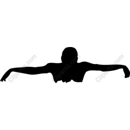 Dynamic Swimmer