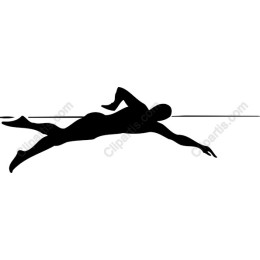Dynamic Swimmer