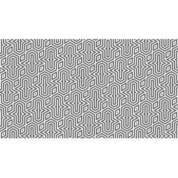 Black and White Geometric Pattern