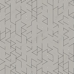 Intricate Geometric Line Pattern