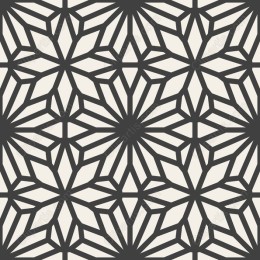 Elegant Geometric Pattern
