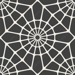 Geometric Web Pattern