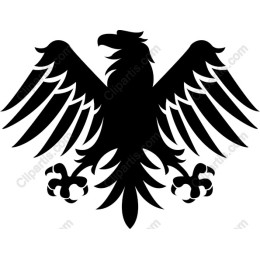 Majestic Black Eagle