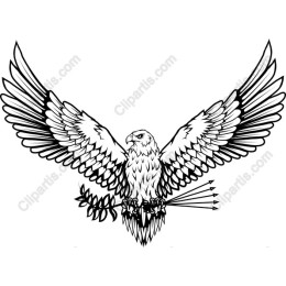 Majestic Eagle Drawing