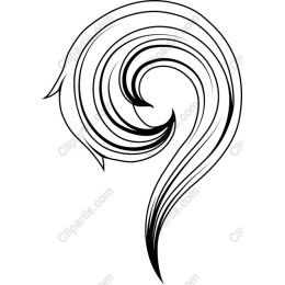 Elegant Swirl