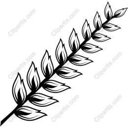 Elegant Leaf Branch
