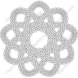 Intricate Knot