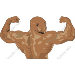 Powerful Muscular Fitness