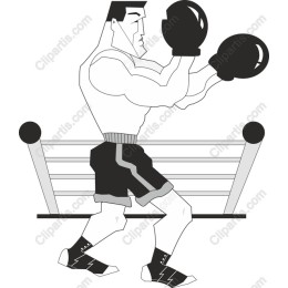 Dynamic Boxer