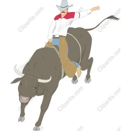 Cowboy Bull Riding