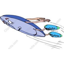 Flying Fish Adventure