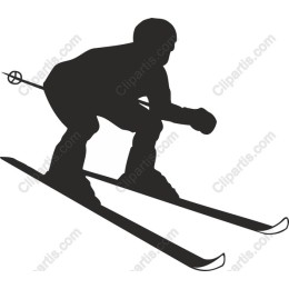 Dynamic Skier