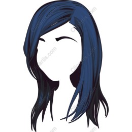 Stylish Blue and Black Hair