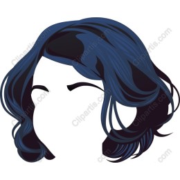 Elegant Dark Blue Hairstyle