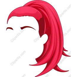 Vibrant Pink Ponytail