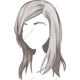 Silver Long Hair