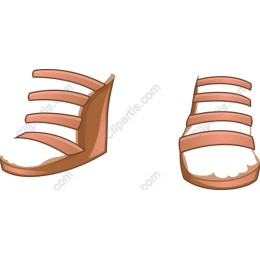 Elegant Wedge Sandals