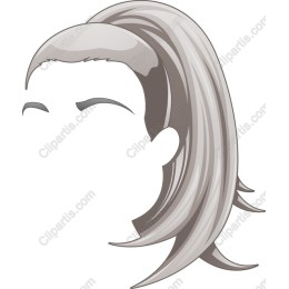 Elegant Ponytail