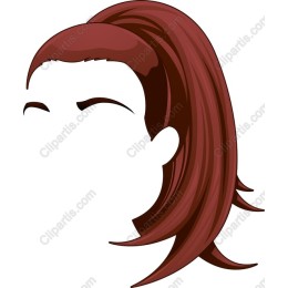 Elegant Ponytail