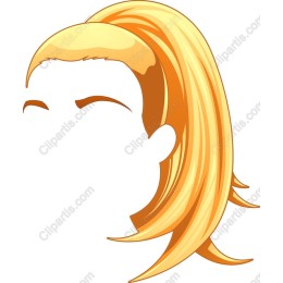 Elegant Ponytail