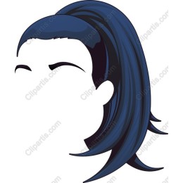 Elegant Ponytail