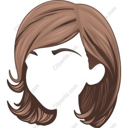 Elegant Brown Hairstyle