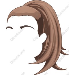 Elegant Ponytail