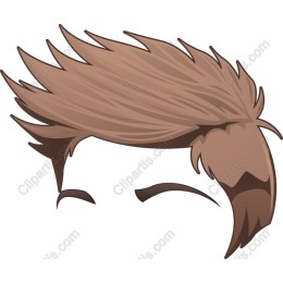 Stylish Hair