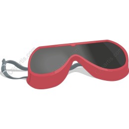 Stylish Red Sunglasses