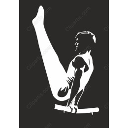 Dynamic Gymnast
