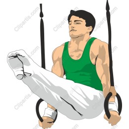 Dynamic Gymnast on Rings